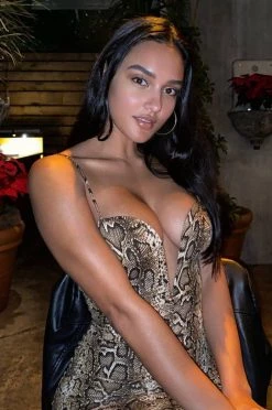 JLUXLABEL SNAKESKIN SILVY DEEP NECK DRESS BACK IN