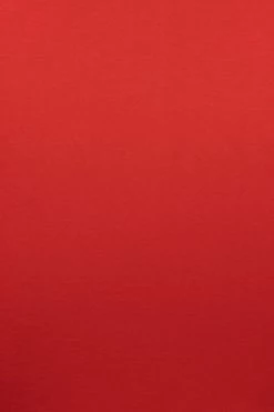 JLUXLABEL RED JANICE DETAILED DRESS