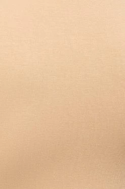 JLUXLABEL JLUXBASIX TAN CIELA HIGH NECK BODYSUIT NEW ARRIVALS