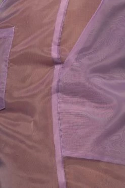 JLUXLABEL PURPLE LIVY ORGANZA PANT NEW ARRIVALS