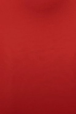 JLUXLABEL JLUXBASIX Red Janessa Double Lined Turtleneck Dress