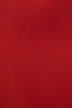 JLUXLABEL RED ESTELLE RUFFLED MAXI DRESS