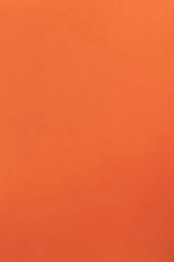 JLUXLABEL TANGERINE DEVYN WIDE LEG PANTS NEW ARRIVALS 29 JLUXLABEL TANGERINE DEVYN WIDE LEG PANTS NEW ARRIVALS