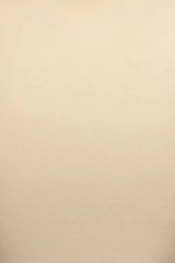 JLUXLABEL BUTTERCREAM LEILAH MIDI SKIRT