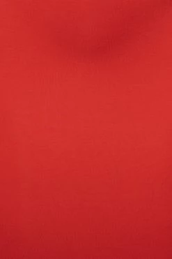 JLUXLABEL RED SOULMATE CUT OUT DRESS