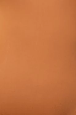 JLUXLABEL MOCHA MONROE SHAPEWEAR BUSTIER BODYSUIT SALE